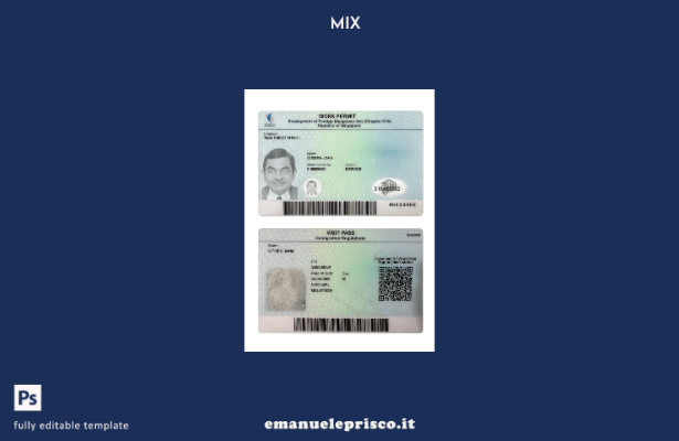 modello di permesso di lavoro per Singapore in stile verificato